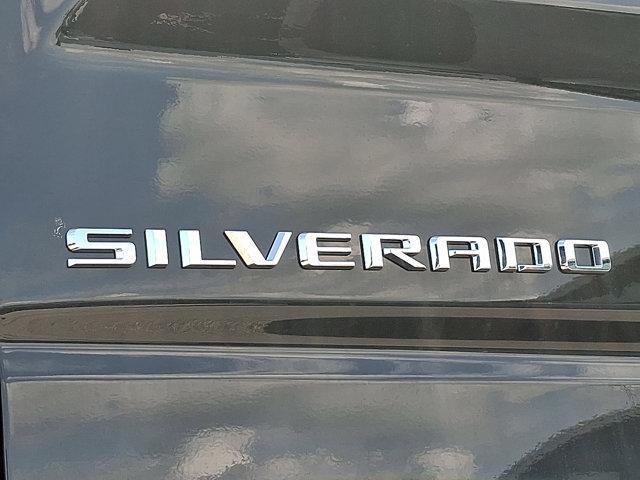 Photo of 2025 Cypress Gray Chevrolet Silverado 1500