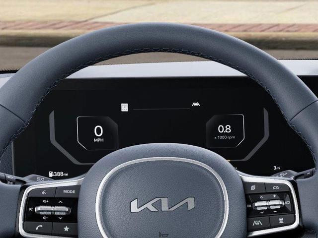 Photo of 2026 Panthera Metal Kia Carnival