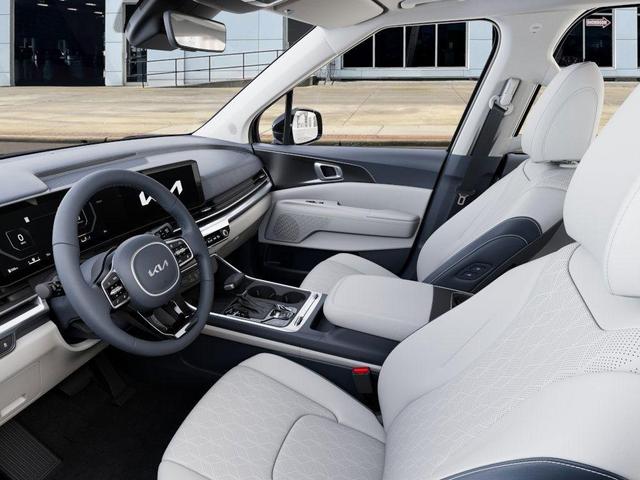 Photo of 2026 Panthera Metal Kia Carnival