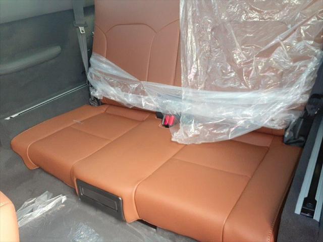 Photo of 2024 Neptune Grey Metallic VinFast VF 9