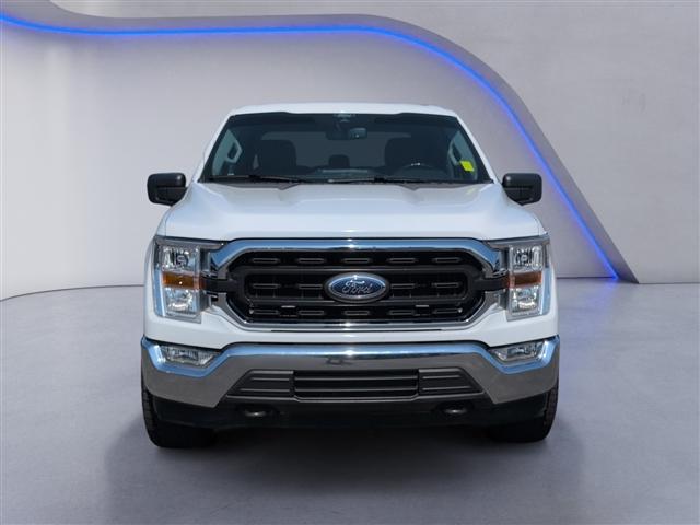 Photo of 2021 Oxford White Ford F-150