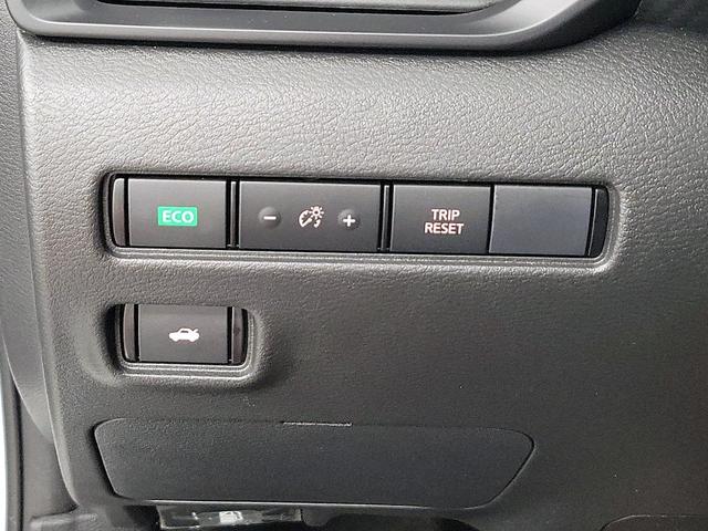 Photo of 2024 White Nissan Sentra