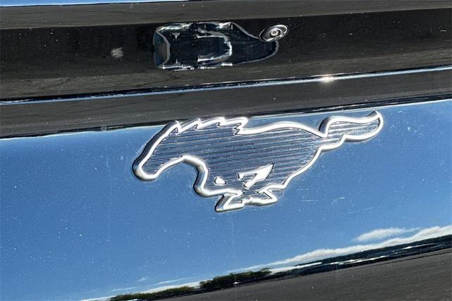 Photo of 2025 Shadow Ford Mustang Mach-E