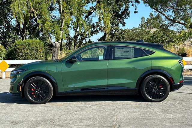 Photo of 2025 Eruption Green Metallic Ford Mustang Mach-E