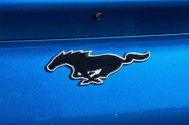 Photo of 2025 Velocity Blue Metallic Ford Mustang Mach-E