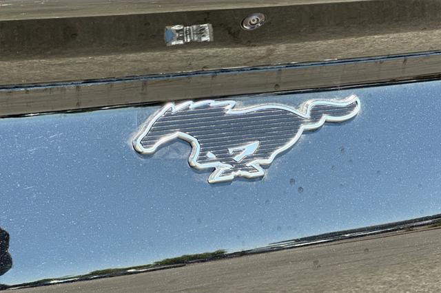 Photo of 2025 Shadow Black Ford Mustang Mach-E