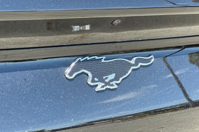 Photo of 2025 Shadow Black Ford Mustang Mach-E