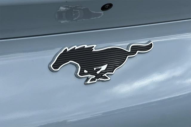 Photo of 2025 Glacier Gray Metallic TriCoat Ford Mustang Mach-E