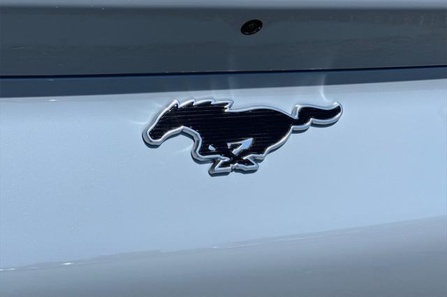 Photo of 2025 Glacier Gray Metallic TriCoat Ford Mustang Mach-E