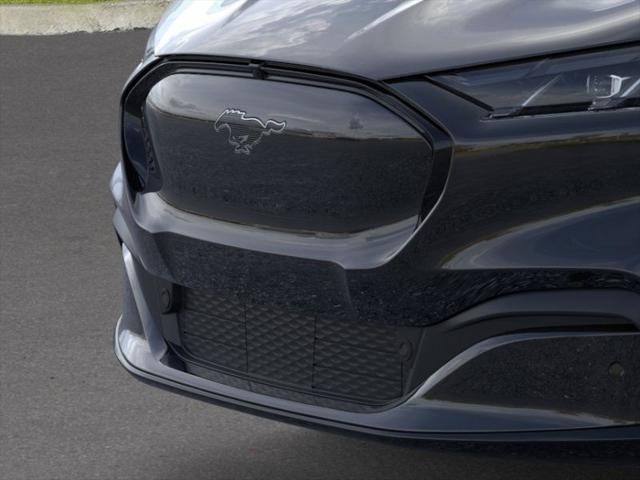 Photo of 2025 Shadow Black Ford Mustang Mach-E
