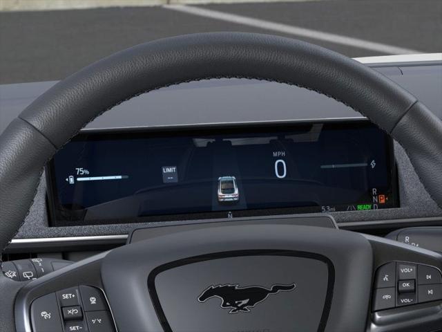 Photo of 2025 Shadow Black Ford Mustang Mach-E
