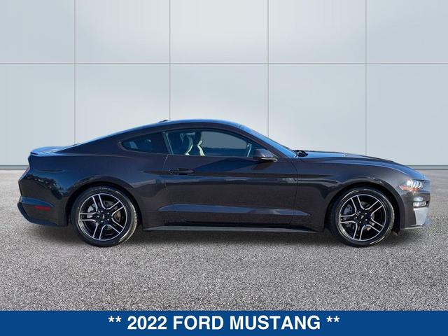 Photo of 2022 DARK MATTER GRAY METALLIC Ford Mustang