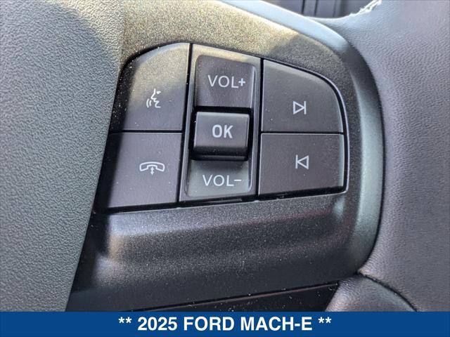 Photo of 2025 DESERT SAND Ford Mustang Mach-E