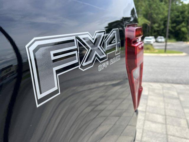 Photo of 2025 Agate Ford F-150