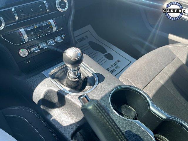 Photo of 2021 Burgundy Ford Mustang