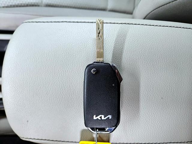 Photo of 2020 Red Kia Soul