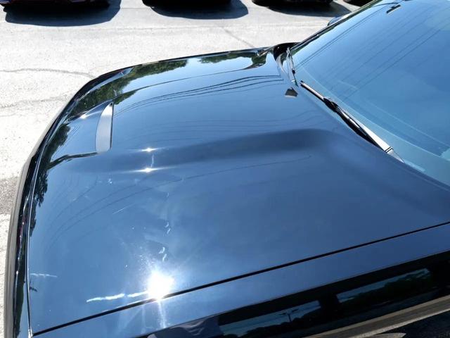 Photo of 2019 Pitch Black Clearcoat Dodge Challenger