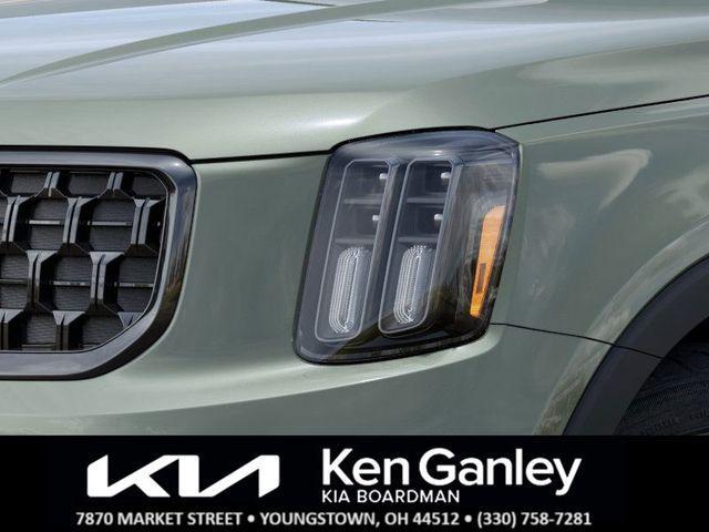 Photo of 2025 Jungle Green Kia Telluride