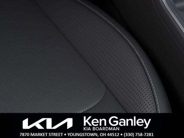 Photo of 2025 Metal Kia Sorento