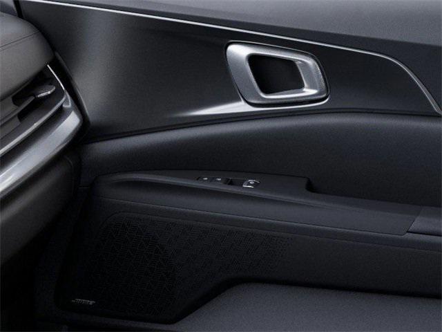 Photo of 2026 Panthera Metal Kia Carnival