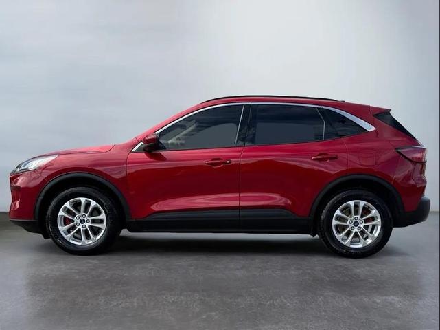 Photo of 2020 Magnetic Metallic Ford Escape