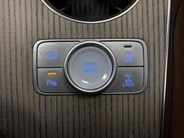 Photo of 2025 Vik Black Genesis GV80