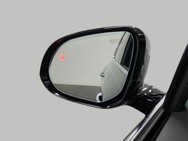 Photo of 2025 Vik Black Genesis GV80