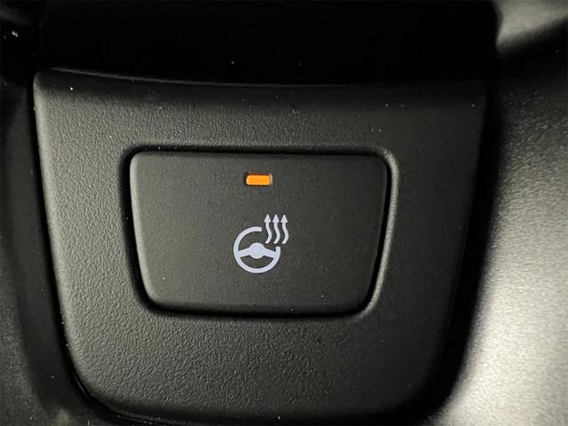 Photo of 2025 Sky Honda Pilot
