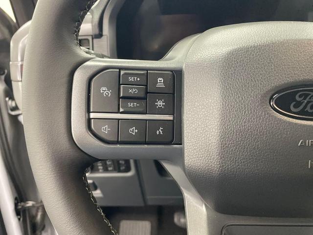 Photo of 2025 Space Gray Ford F-150