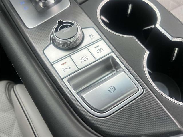 Photo of 2025 Blue Genesis G70