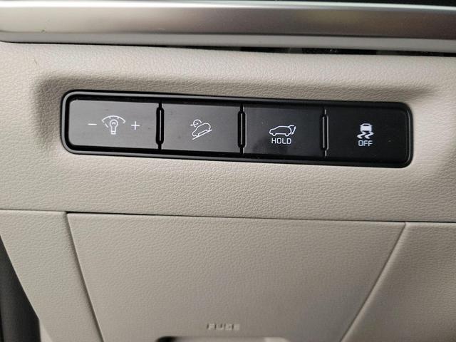 Photo of 2023 Gray Kia Telluride