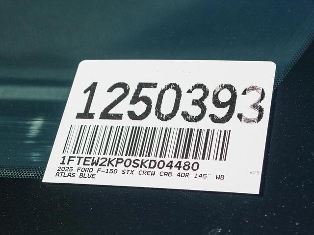 Photo of 2025 Blue Metallic Ford F-150