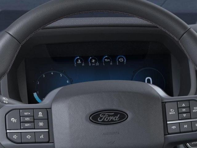 Photo of 2025 Black Metallic Ford F-150