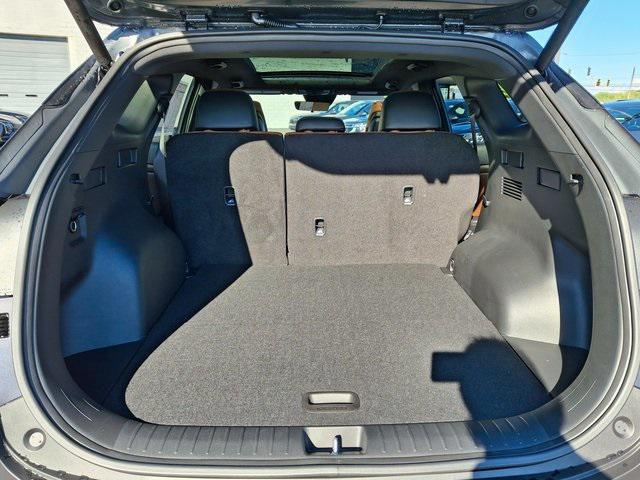 Photo of 2026 Panthera Metal Kia Sportage