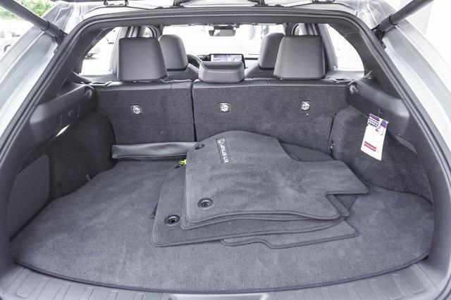 Photo of 2025 Iridium Lexus UX 300h