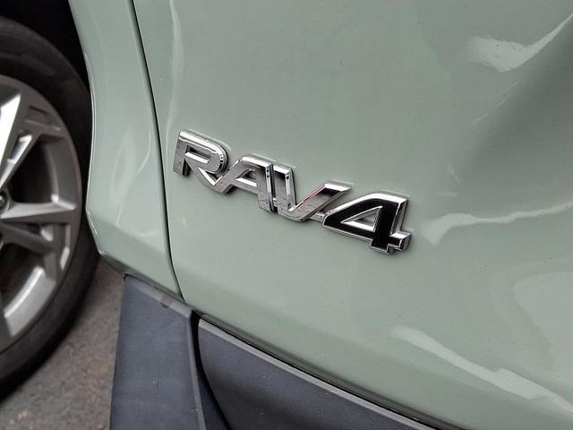 Photo of 2019 Green Toyota RAV4