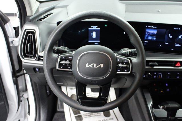 Photo of 2025 Glacial White Pearl Kia Sorento