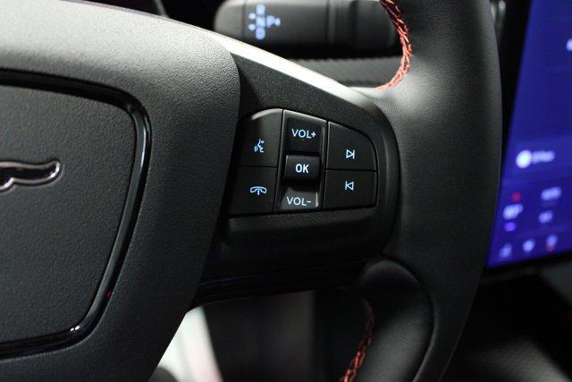 Photo of 2025 Shadow Black Ford Mustang Mach-E