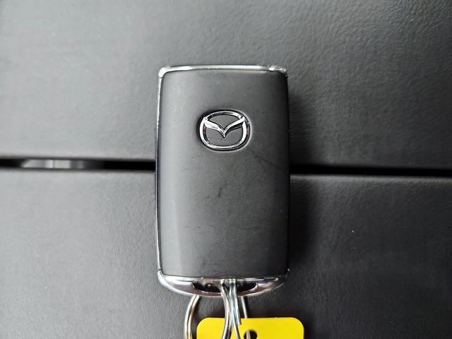 Photo of 2023 Blue Mazda CX-9