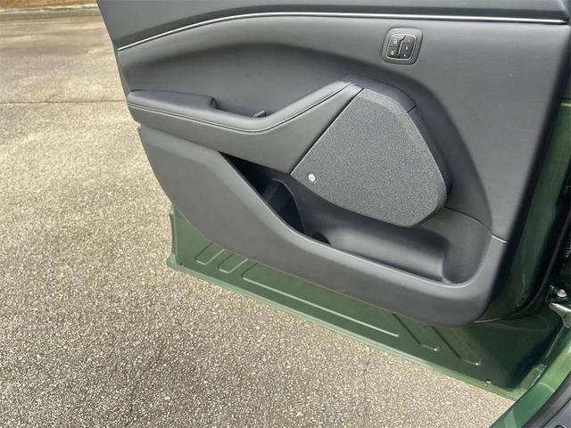 Photo of 2025 Eruption Green Ford Mustang Mach-E