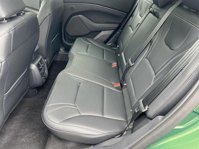 Photo of 2025 Eruption Green Ford Mustang Mach-E