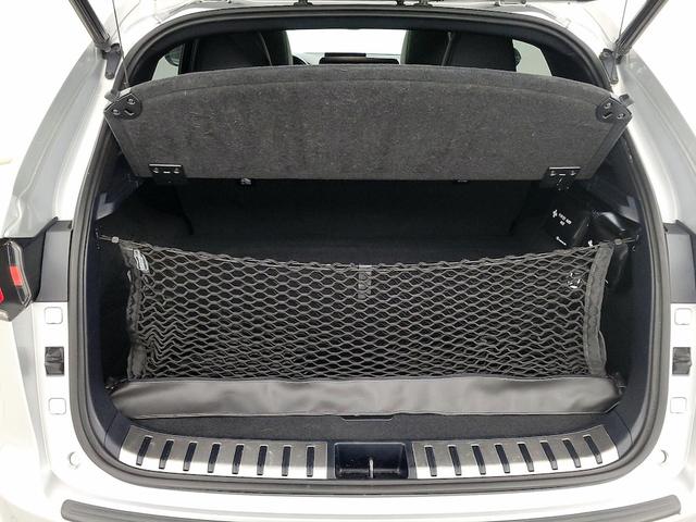 Photo of 2019 Silver Lexus NX 300