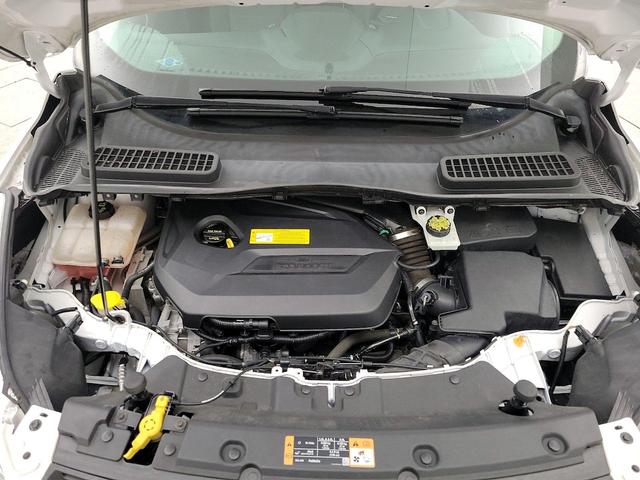 Photo of 2016 White Ford Escape