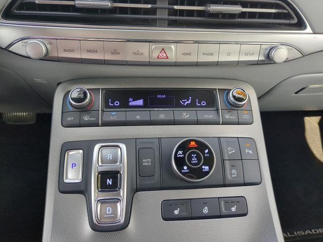 Photo of 2020 Moonlight Cloud Hyundai PALISADE