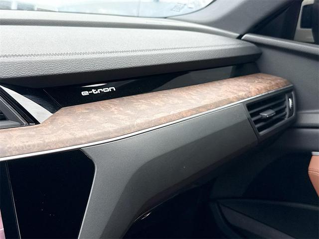 Photo of 2019 Glacier White Metallic Audi e-tron