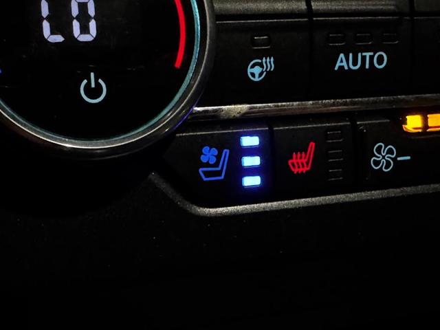 Photo of 2021 Magnetic Metallic Ford Expedition