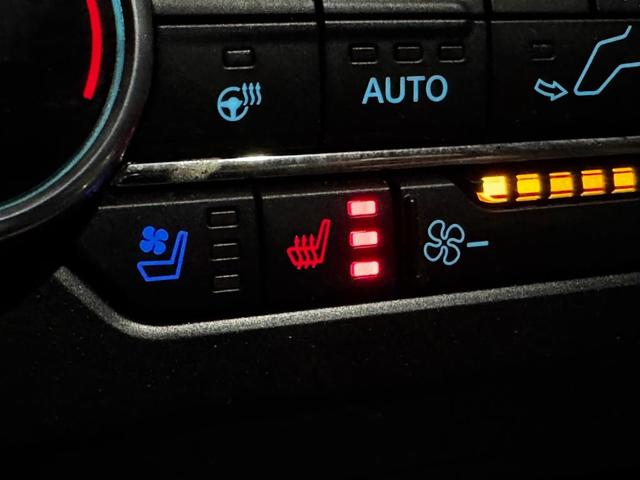 Photo of 2021 Magnetic Metallic Ford Expedition