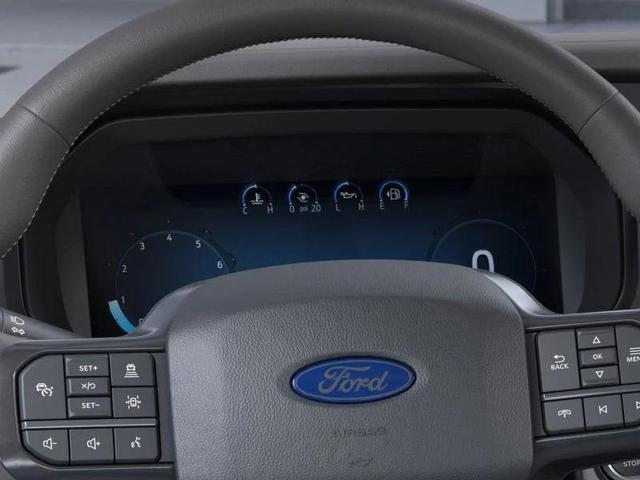 Photo of 2025 Agate Black Ford F-150