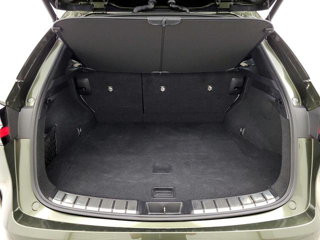 Photo of 2022 Green Lexus NX 350