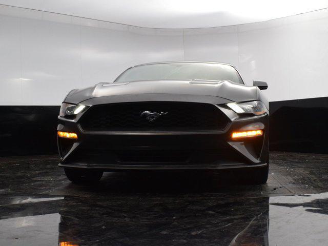 Photo of 2019  Ford Mustang